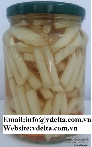 HIGH QUALITY CANNED PICKLED LOTUS ROOT