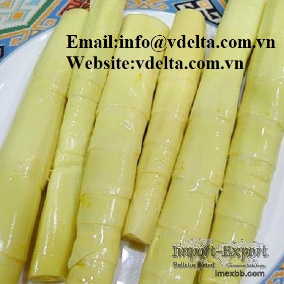 HIGH QUALITY PICKLED BAMBOO SHOOT
