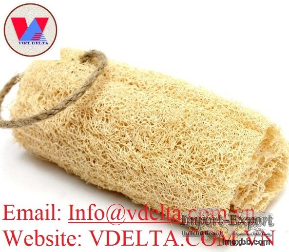 Natural Dried Whole/Cutting Loofah from Vietnam 2020