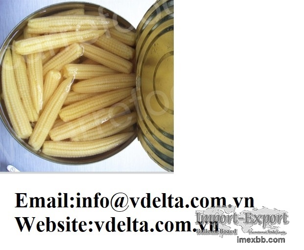 CANNED BABY CORN FROM VIET NAM 