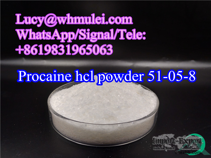 Procaine hcl Powder CAS 51-05-8 Local Anesthetics High Quality Procaine