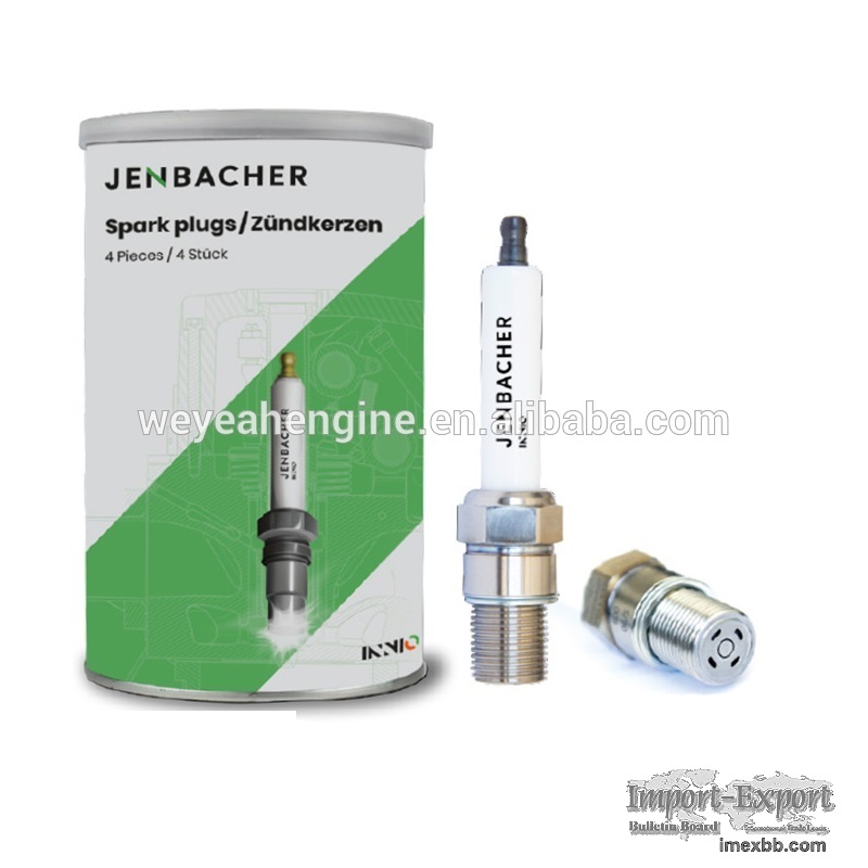 Spark plug P611/1236100 for JGS620 gas engine