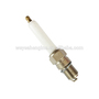Spark plug 4797702 for G3500 and G3600 gas engine