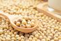 Top Quality NON GMO Dried Soybean