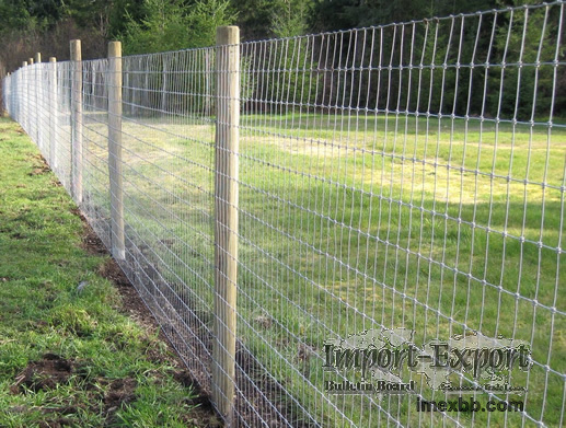 Galvanized Wire Fence