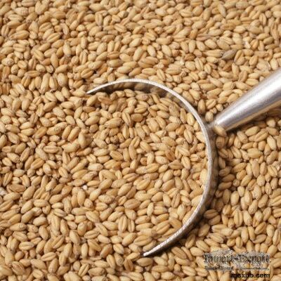 High Protein Premium Grade Soft Milling Wheat Grain