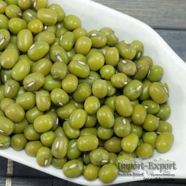 Green Mung  Beans for Sale