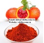 NATURAL GAC POWDER WITH BEST PRICE 