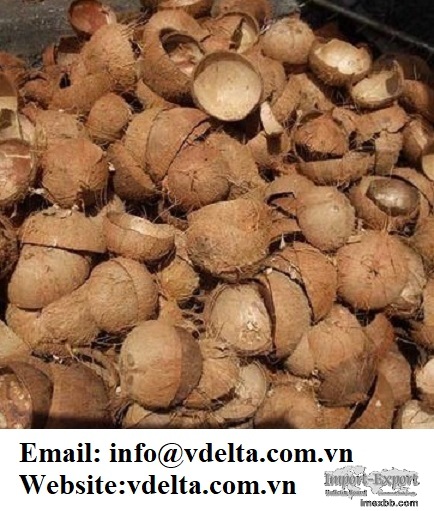 VIET NAM COCONUT SHELL WITH BEST PRICE