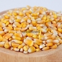 yellow & white maize