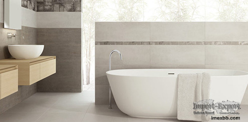 Ceramic Grade Carboxymethyl Cellulose