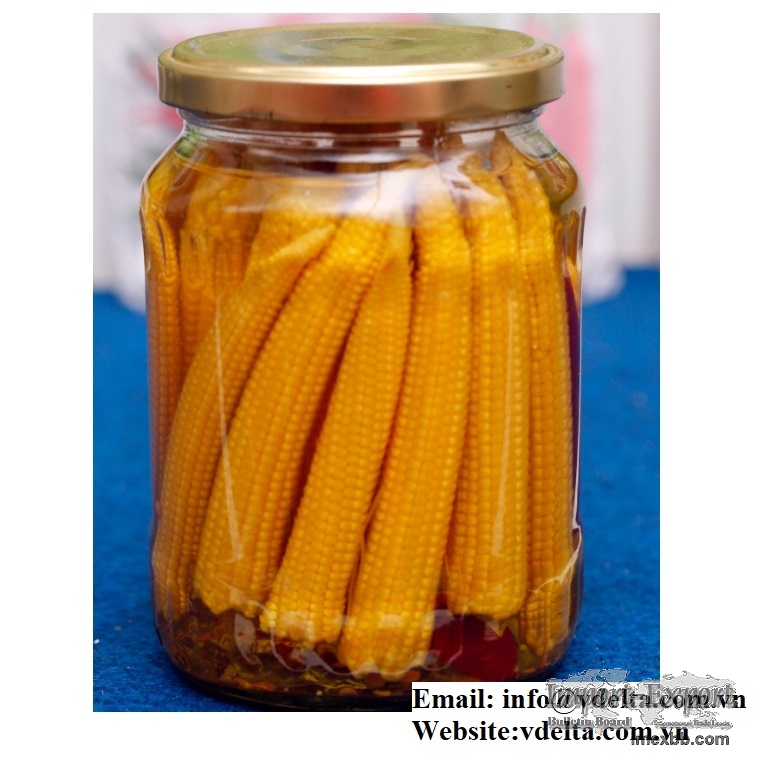 High quality Canned baby corn from VIETNAM 