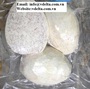 High quality frozen Taro best price from VIETNAM 