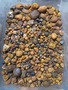 Quality dried Cow Ox Gallstones,Cattl   e Gallstones,Cow Gallstones