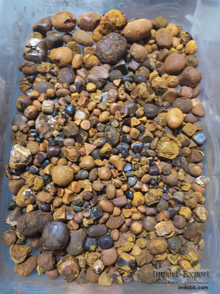 Quality dried Cow Ox Gallstones,Cattle Gallstones,Cow Gallstones