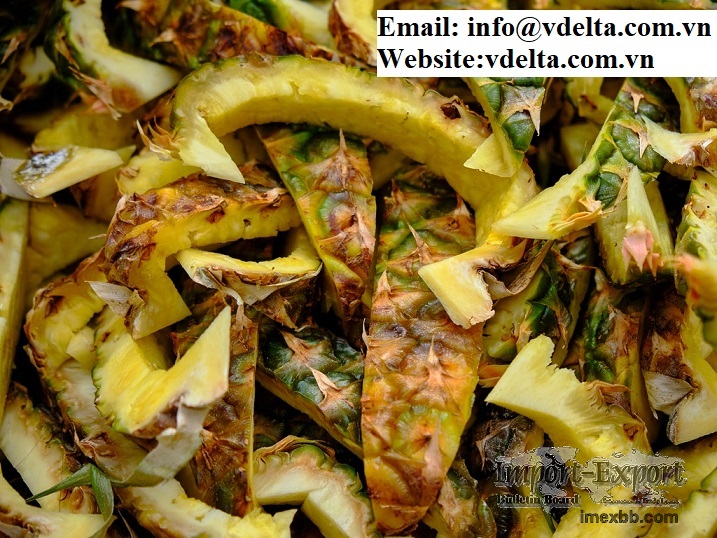 Pineapple Shell Form Vietnam