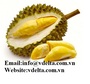 HIGH QUALTIY FROZEN DURIANS FROM VIETNAM 