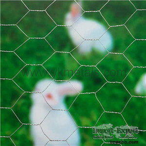 Electro Galvanized Hexagonal Wire Netting