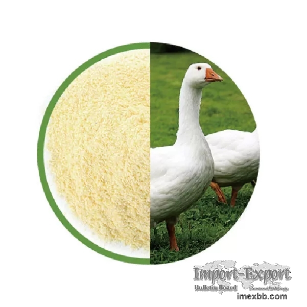 6 5 Billion Cfu Poultry Probiotics Powder Bacillus Subtilis In Animal Feed
