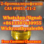 2-Bromovalerophenone,cas 49851-31-2