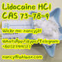 73 78 9 Anesthetic Powder Lidocaine Hydrochloride CAS 73-78-9