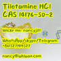 14176 50 2 Tiletamine Hydrochloride CAS 14176-50-2