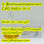 49851 31 2 2-Bromovalerophe   none CAS 49851-31-2