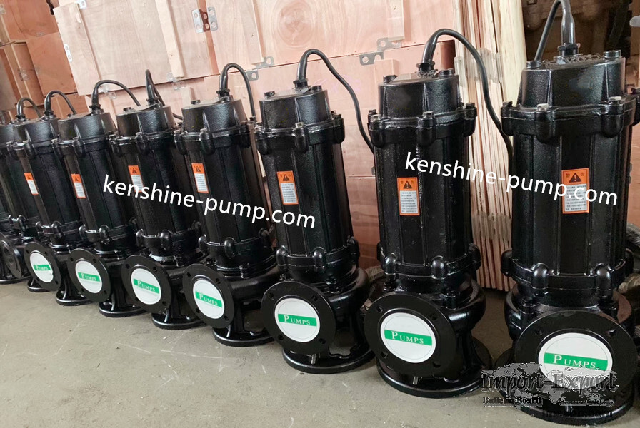 QW Sewage submersible pump