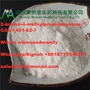 China Top Quality 1451-82-7 White Powder 2-Bromo-4-Methylpropiophenone 
