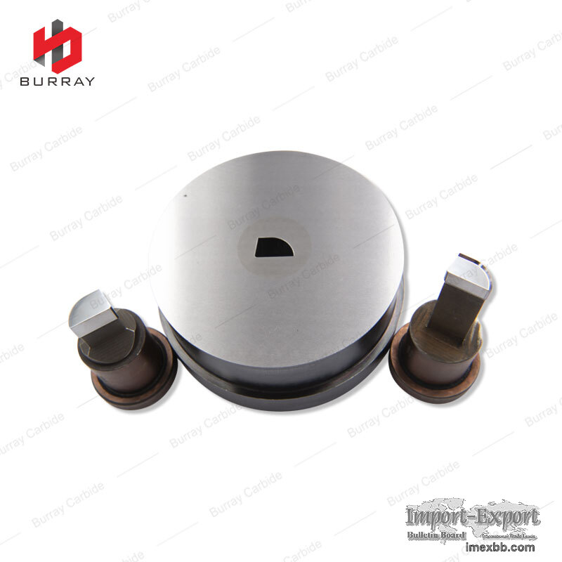 A415Z Carbide Powder Pressing Moulding Dies with Mirror Polishing