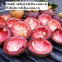 100% Natural Dried Mangosteens Shell