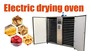 Electric Drying Oven  Hot Air Circulation Drying Oven