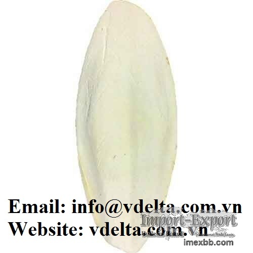 Whole Cuttlefish Bone/ Asian Cuttlefish bone for bird