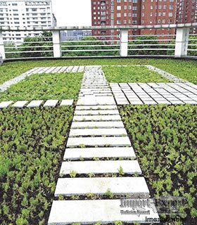 Surface rainwater collection and drainage