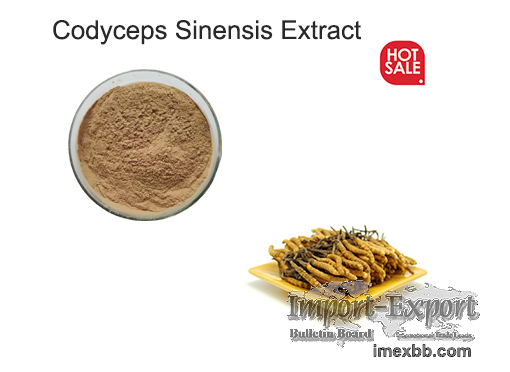 Cordyceps sinensis Extract