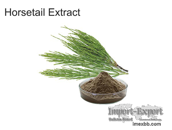 Horsetail extract