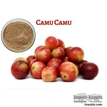 Camu Camu Extract