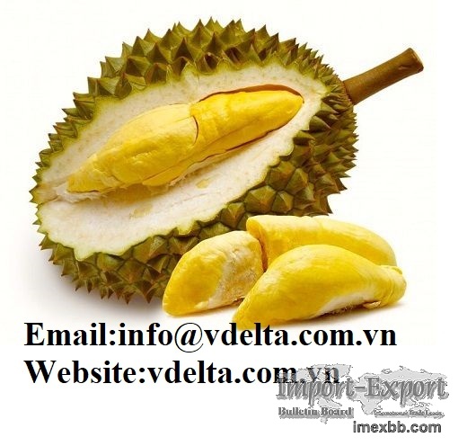 HIgh qualtiy Frozen Durian Ri6 from VIETNAM 