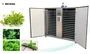 How to dry mint by the electric drying oven?