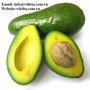 HIGH QUALITY FROZEN AVOCADO BEST PRICE