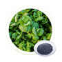 Dr Aid China potassium fertilizer NPK 20 20 20 for Vegetables
