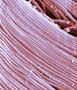 Chemical fiber filaments
