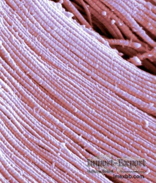 Chemical fiber filaments