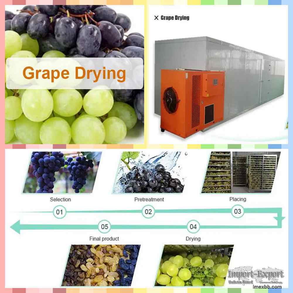 Grapes Dryer  Grapes Drying Machine