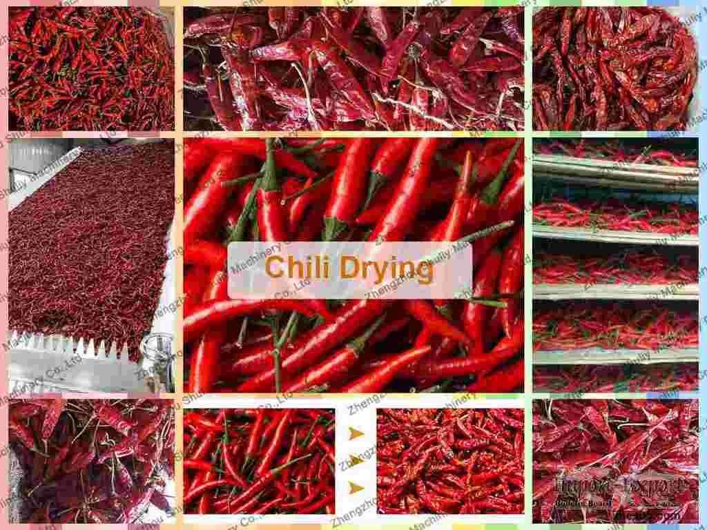 Chili dryer  Pepper drying equipment  Chili powder drying machine