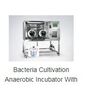 Biochemical Incubator
