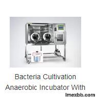 Biochemical Incubator