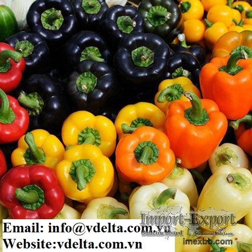 Bell sweet pepper with high quality and best price