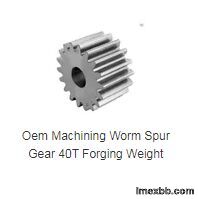 Oem Machining Worm Spur Gear 40T Forging Weight worm pinion gear