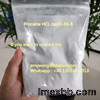 Procaine HCL cas51-05-8